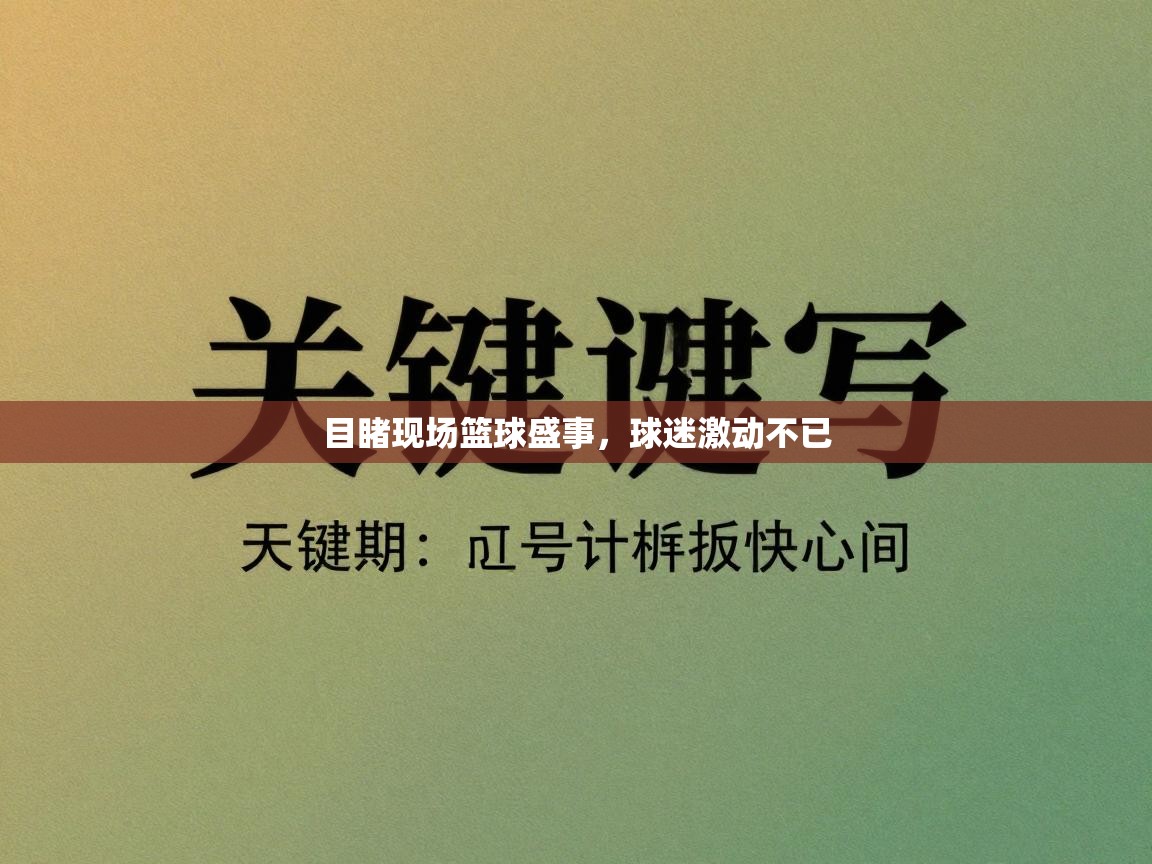 目睹现场篮球盛事,球迷激动不已 第1张