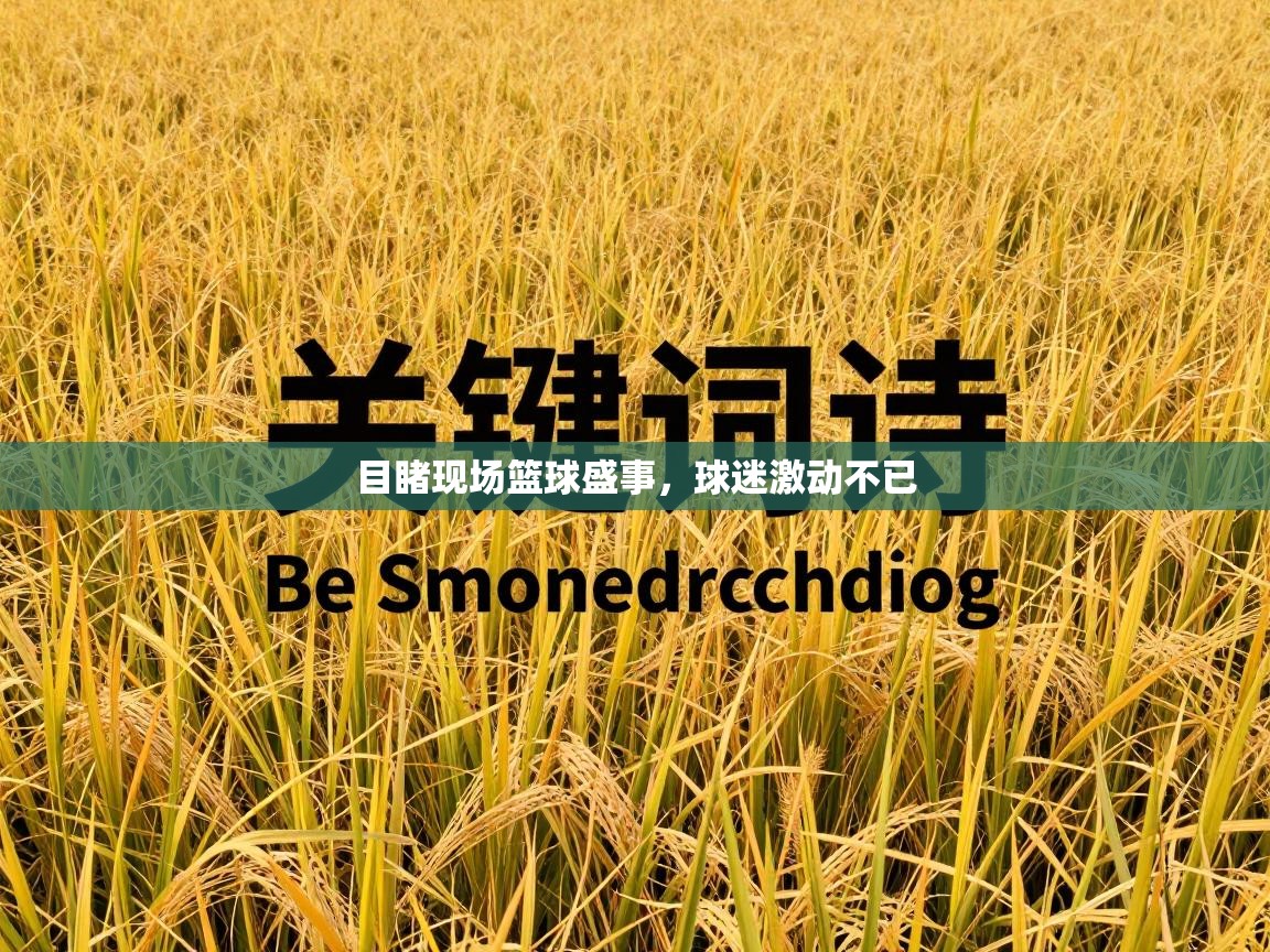 目睹现场篮球盛事,球迷激动不已 第2张