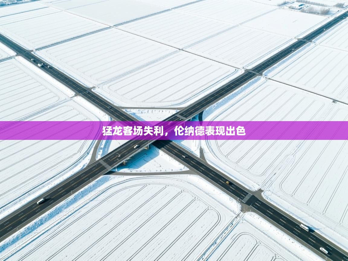 猛龙客场失利，伦纳德表现出色