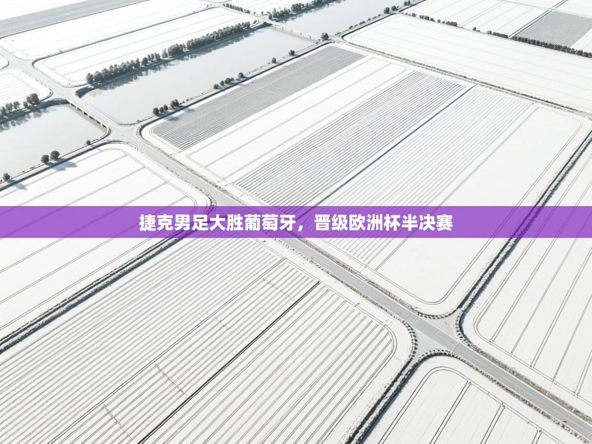 捷克男足大胜葡萄牙，晋级欧洲杯半决赛  第2张