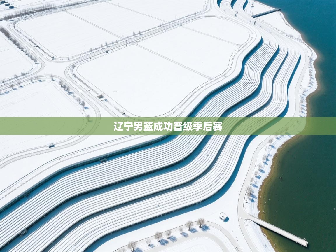 辽宁男篮成功晋级季后赛  第1张