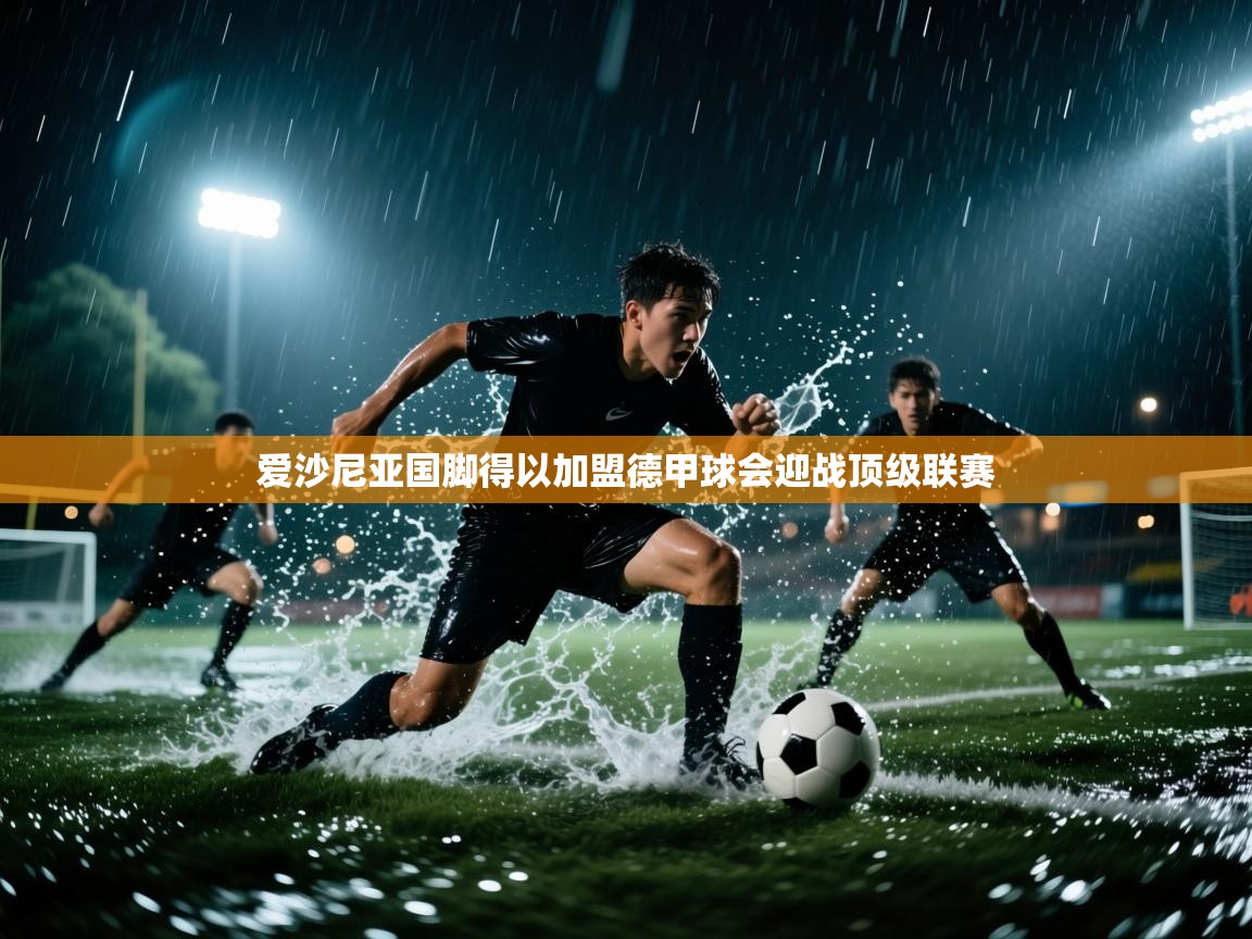 爱沙尼亚国脚得以加盟德甲球会迎战顶级联赛  第2张